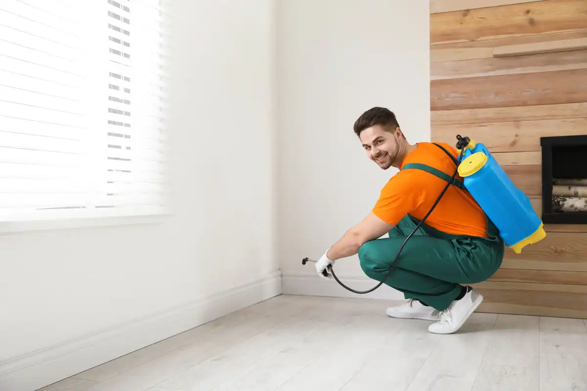 Pest control Pest control