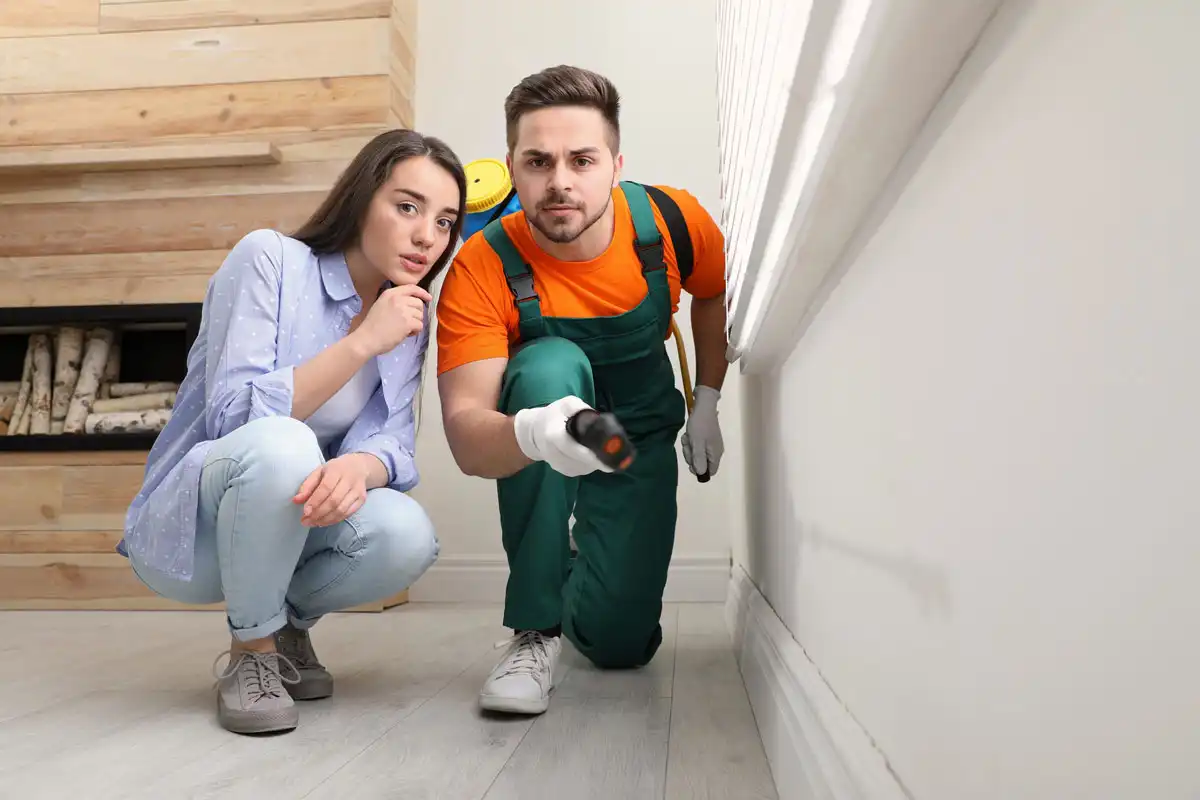 Pest control Pest control