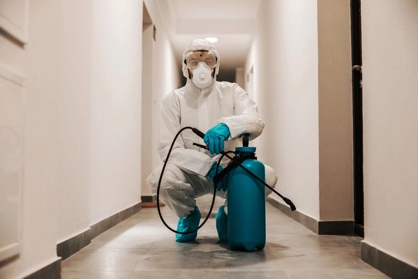 Protecting Your Home’s Structure With Termite Extermination Northridge CA Protecting Your Home’s Structure With Termite Extermination Northridge CA