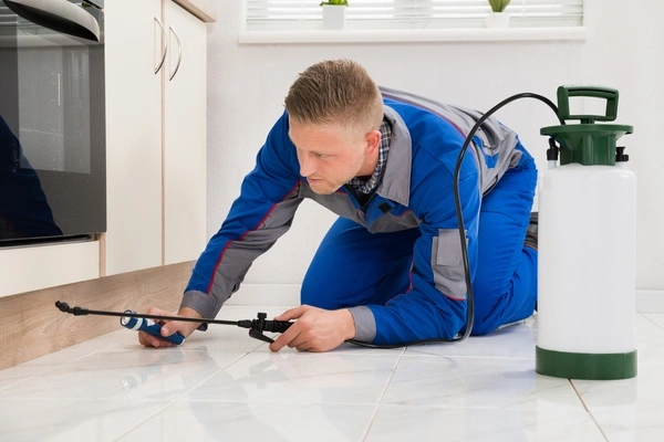 Termite Extermination Termite Extermination