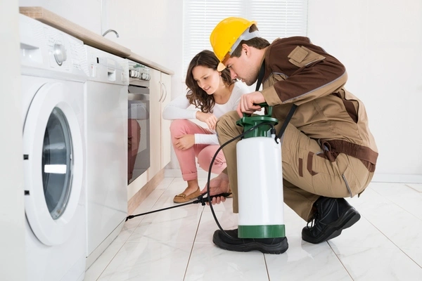 Termite Inspection Termite Inspection